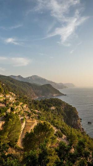 蜘蛛池域名租赁截图2