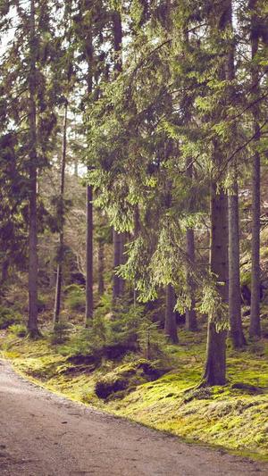 seo原创工具怎么用截图4