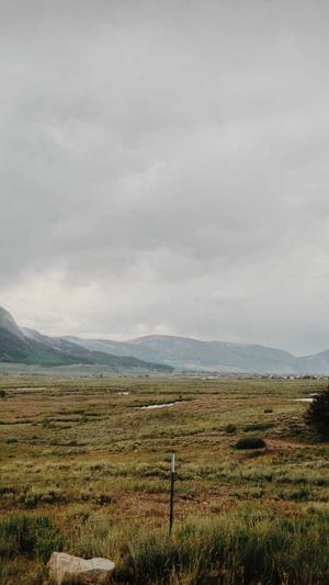 用蜘蛛池会降权吗截图3