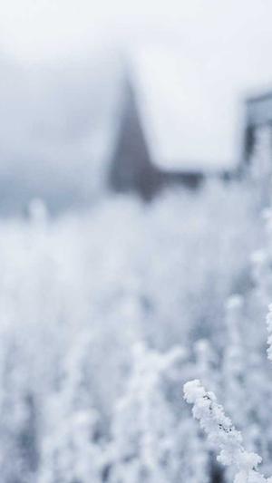 蜘蛛池程序2021截图2