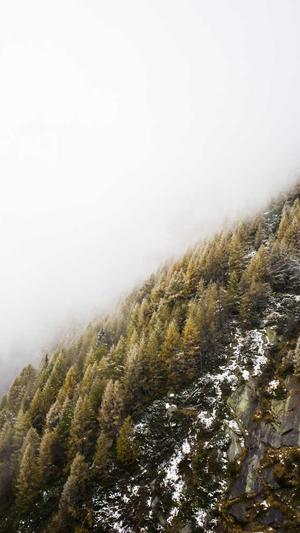 Linux蜘蛛池程序截图5