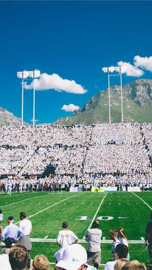 零距离泛目录推广平台截图2