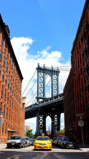 seo站长工具排名查询截图2