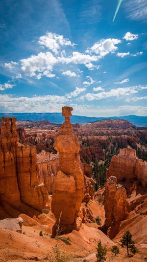 seo排名软件截图3