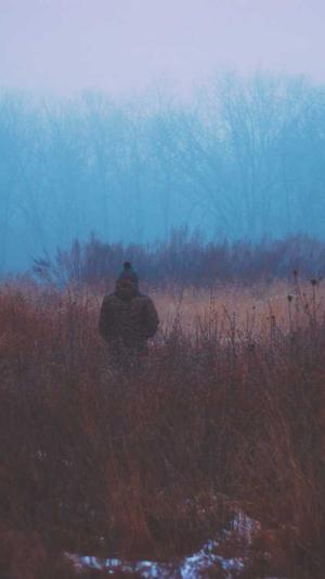 seo关键词优化工具截图3