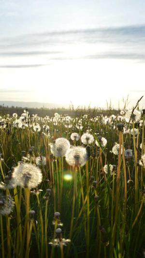 seo关键字优化工具截图4