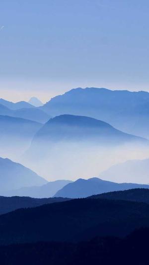 蜘蛛池出租价格截图3