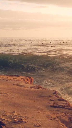 站外seo优化工具截图2