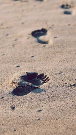 蜘蛛池原理是什么样的截图5