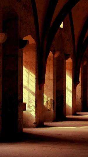 seo查询工具google截图3