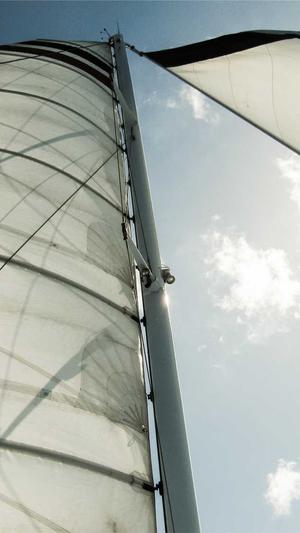 在线seo工具截图2