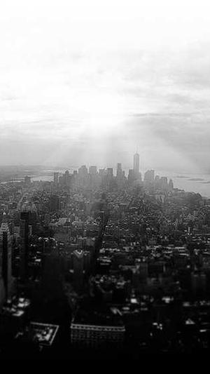 泛目录站群怎么收费截图3