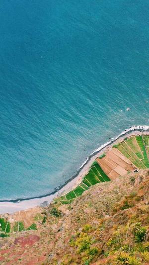 站长工具seo词语排名截图2