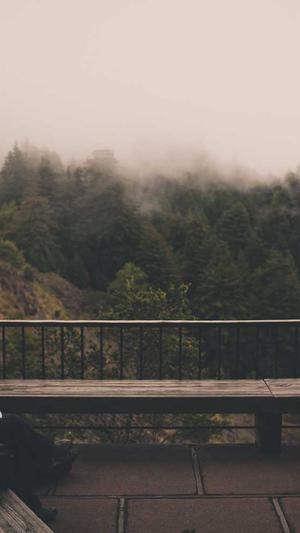 蜘蛛池域名租赁截图1