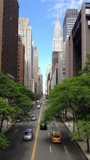 外推蜘蛛池软件截图1