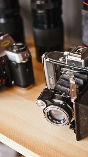 怎么举报泛目录网站截图5