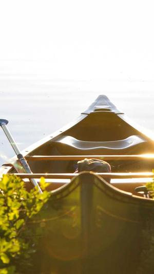 免费seo伪原创工具下载截图1