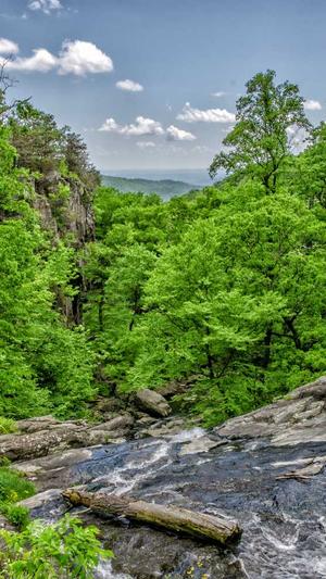 网站建设系统截图4