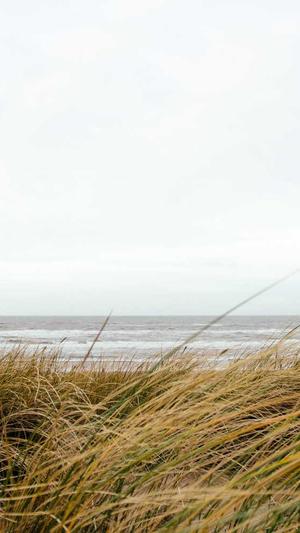 站外seo优化工具截图4