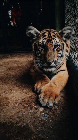 台州seo优化工具截图2