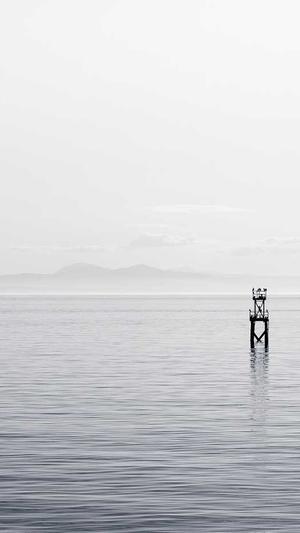 泛目录软件截图2