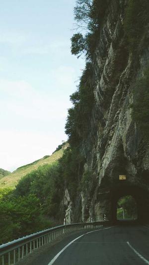 老铁蜘蛛池好用吗截图4