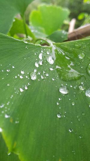 seo点击工具能排名吗截图2