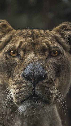 建设网站的具体步骤截图3