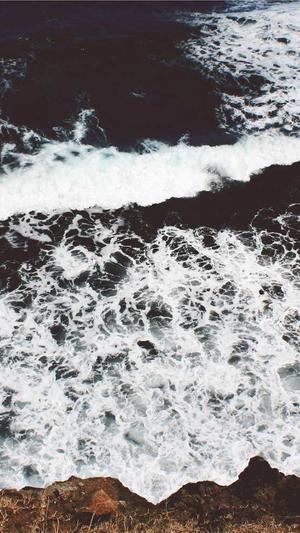 企业内部网站建设截图4