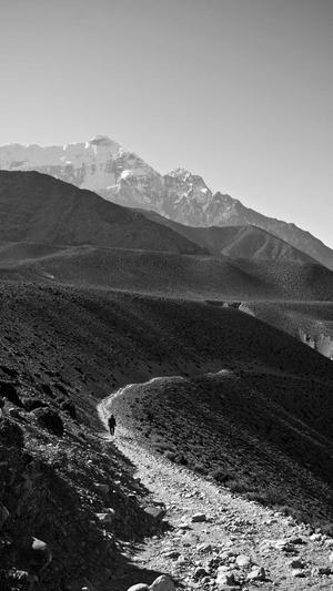 蜘蛛池怎么赚钱快截图1