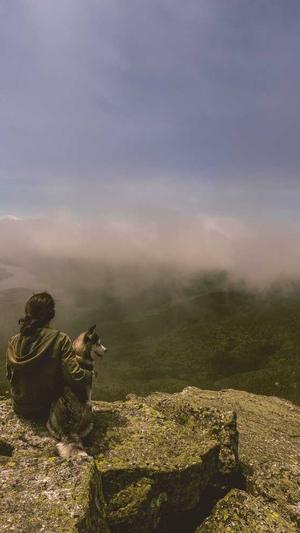 宝安seo工具截图3