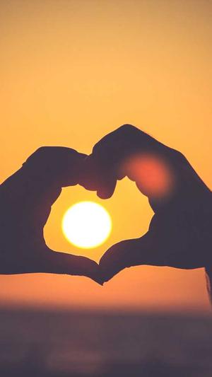 搜狗蜘蛛池权重截图3