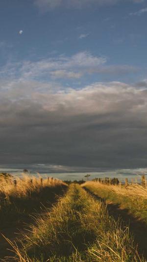 seo拓词工具截图3