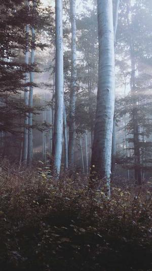 网站建设的论坛截图4