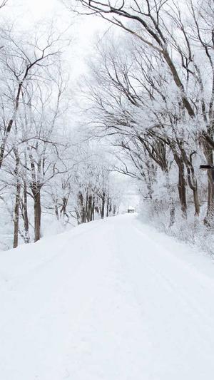 seo泛目录程序下载截图1