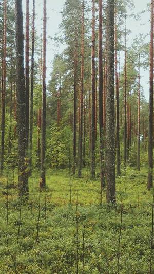 佛山 网站建设截图1