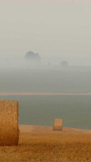 常州网站建设截图3