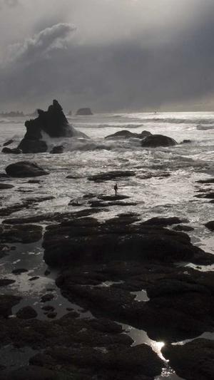 seo工具论坛截图3