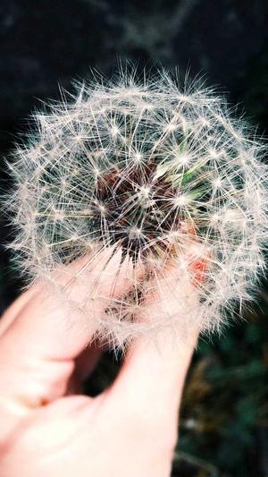 seo辅助工具截图3