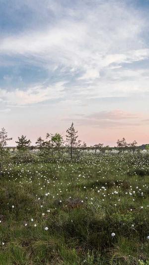 p2p蜘蛛池什么意思截图2