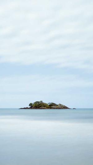 上海网站建设设计截图2