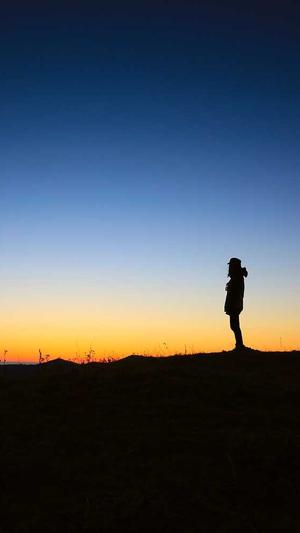 seo优化工具排行截图4