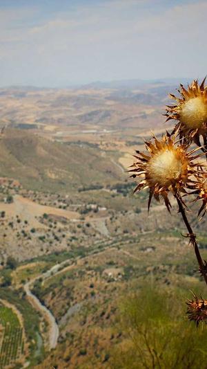 泛目录程序爱啊截图1