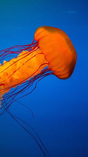 网站建设技术截图3