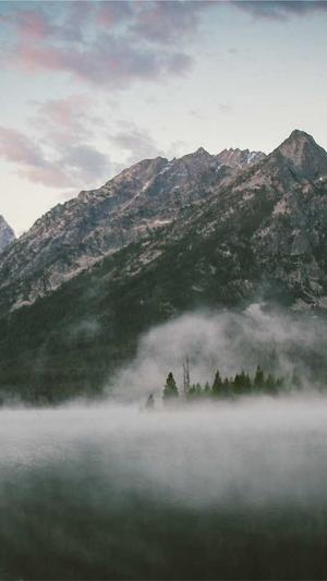 泛目录排名原理截图1