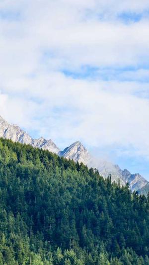 百度蜘蛛池收益怎么来截图1