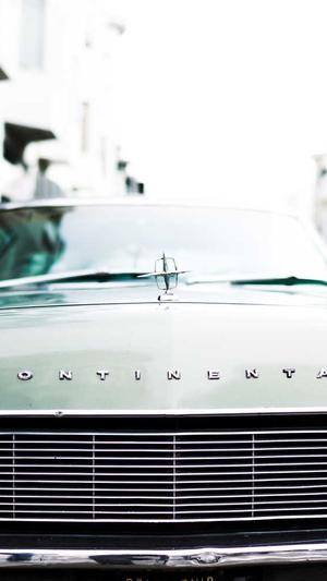 seo蜘蛛池论坛截图1