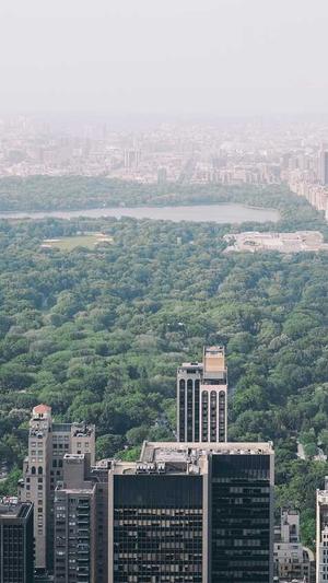 龙岗网站建设公司截图3