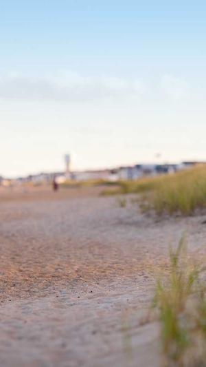 零距离泛目录引流推广截图1