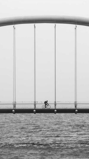 seo发帖工具泛目录快照截图2